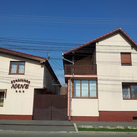 Pensiunea Nane Sibiu Luaran gambar